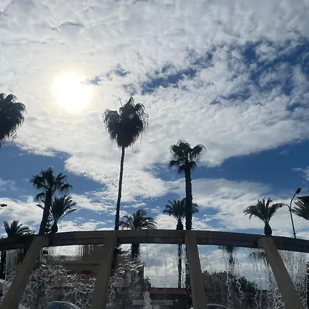 Bajo El Gallo * Torrevieja