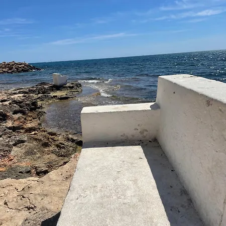Bajo El Gallo