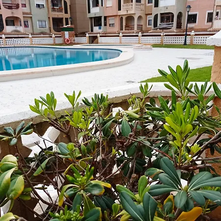 Apartment Bajo El Gallo