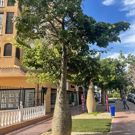 Bajo El Gallo * Torrevieja