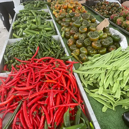 Apartment Bajo El Gallo