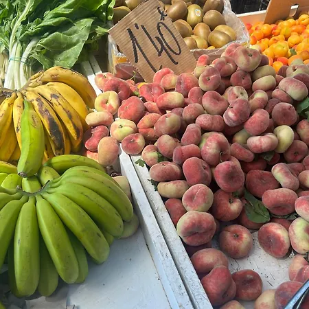 Bajo El Gallo Apartment