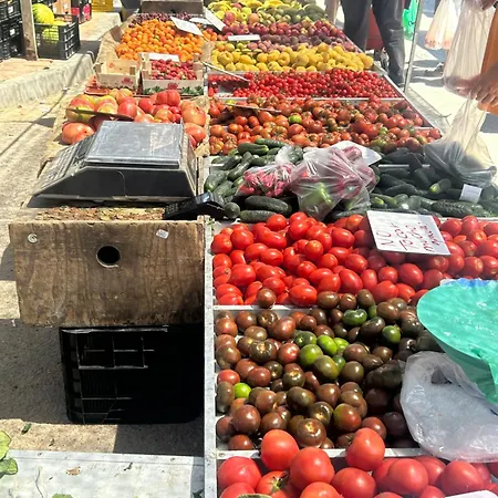 Bajo El Gallo Apartment