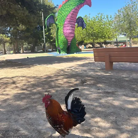 Bajo El Gallo Apartment *