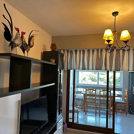 Bajo El Gallo Torrevieja