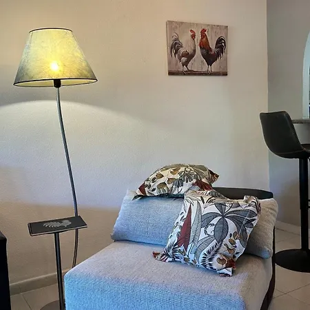 Bajo El Gallo Torrevieja