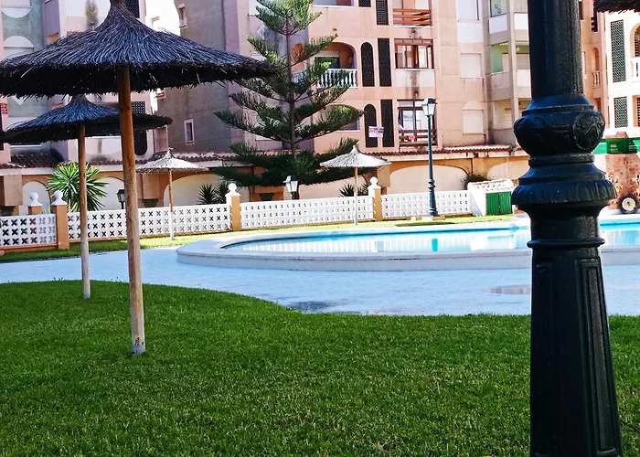 Bajo El Gallo