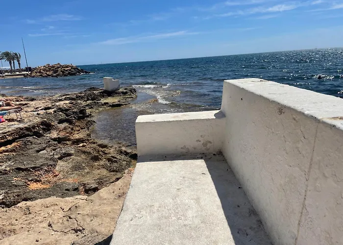 Bajo El Gallo
