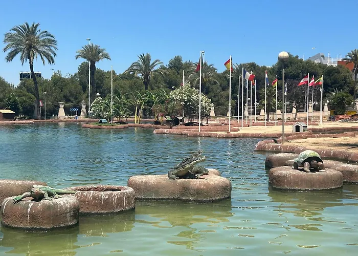 Bajo El Gallo