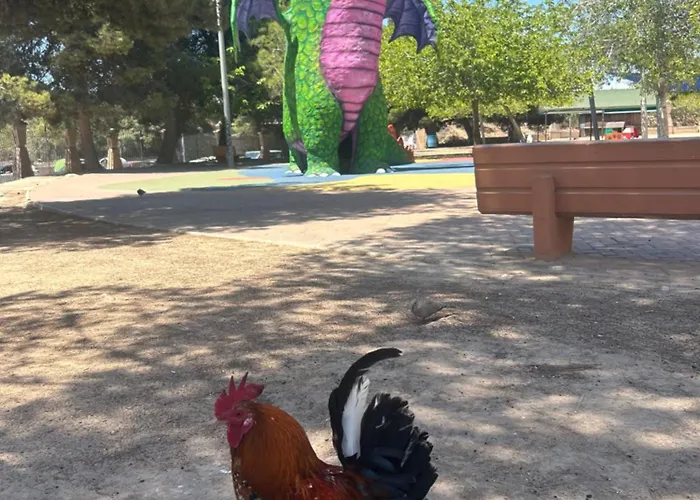 Bajo El Gallo Apartment *