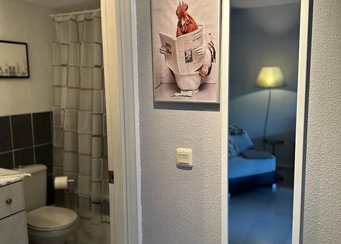 Bajo El Gallo